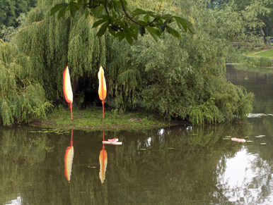 Veren lokatie in Zaltbommel