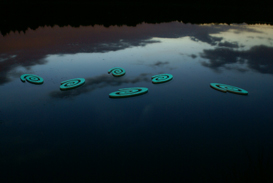 Watermove